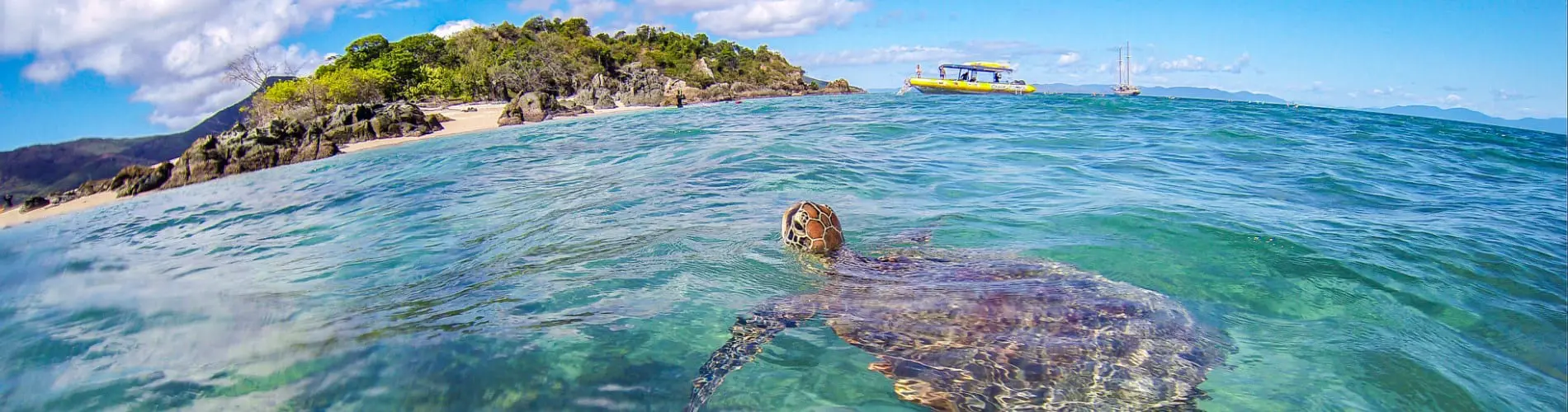 whitsunday island tours