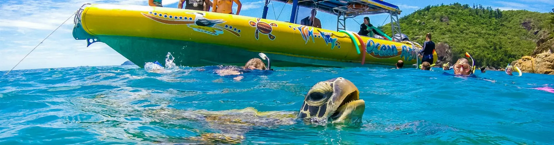 whitsundays snorkelling