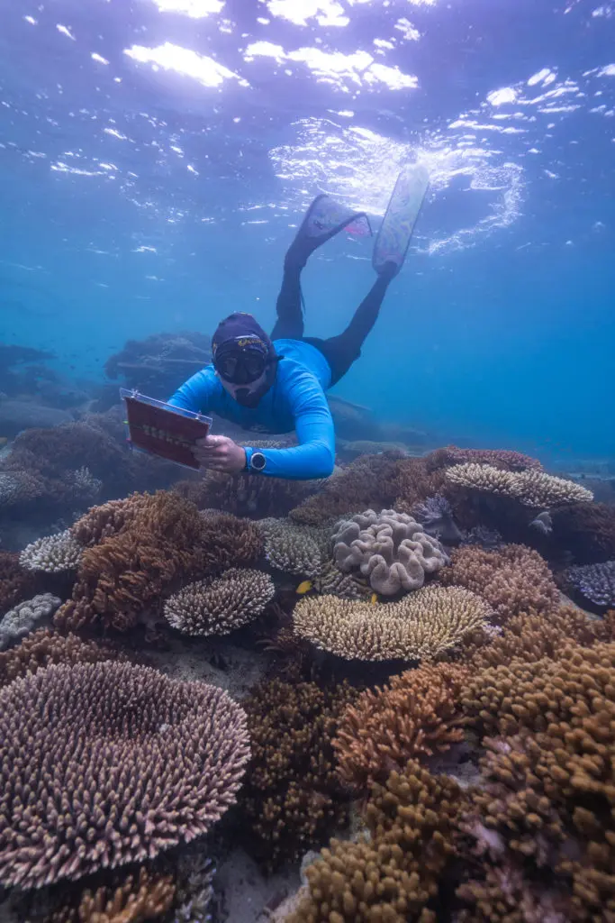 The tourism Reef Protection Initiative Master Reef Guide