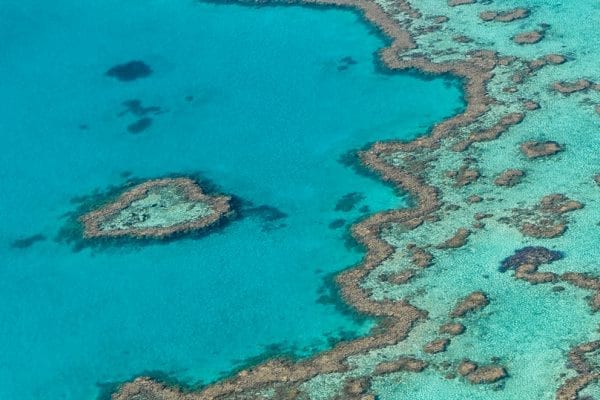 Hill Inlet & Whitehaven Beach Tours - Ocean Rafting Whitsunday Islands