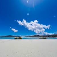 tours from daydream island