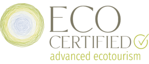 eco-tourism-logo