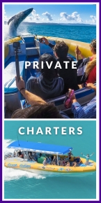 private charters